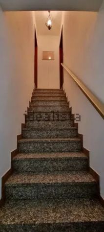 Prima Periferia - Foto 4