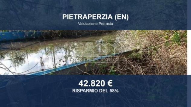 Immobile in asta di 705 m² in vendita a Pietraperzia