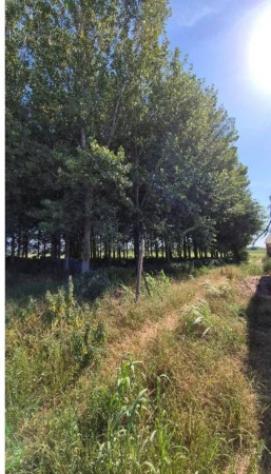 Immobile in asta di 151 m² con più di 5 locali in vendita a San Giovanni Lupatoto - Foto 3