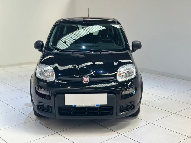 FIAT Panda 1.0 FireFly 70cv S&S Hybrid - Foto 2
