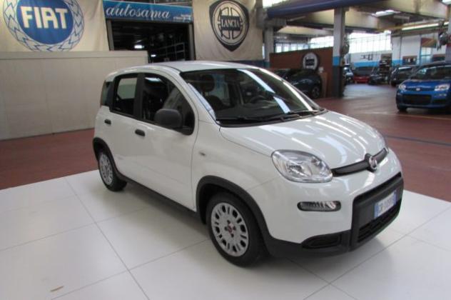 FIAT Panda 1.0 FireFly S&S Hybrid rif. 24216237 - Foto 3