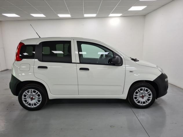 Fiat Panda 1.0 FireFly S&S Hybrid - Foto 5