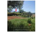 IMMOBILI-IMMOBILE RESIDENZIALE-Via Corana, 70, 04012 Cisterna di Latina LT, &hellip;