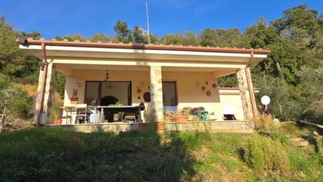 Immobile in asta di 128 m² con più di 5 locali in vendita a Scansano - Foto 3