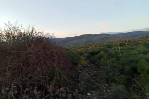 Immobile in asta di 36546 m² in vendita a Nicolosi - Foto 7