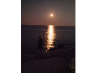 Amore e incontri Rimini - Convivenza Tel:3518678671