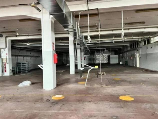 Immobile in asta di 1201 m² in vendita a Presicce-Acquarica - Foto 7