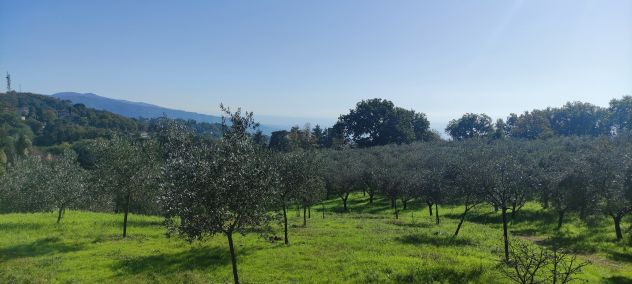 Oliveto e casa quattro camere e doppi servizi - Foto 3