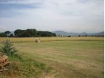 Rustico in vendita a Lucca