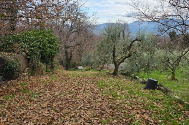 Terreno di 6110 m² in vendita a Velletri - Foto 5