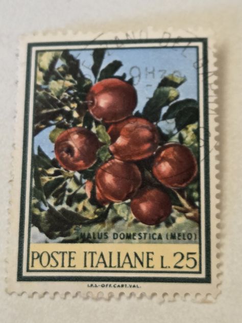 Filatelia Poste It. bollo da 25 Lire del 1967 raffigura pianta Malus Domestica