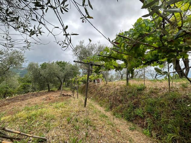Agricolo in vendita a Arcola - Foto 19