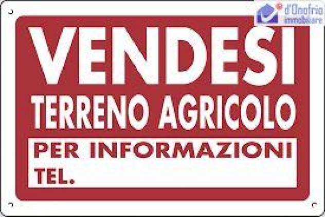 N AGRO DI CAMPODIPIETRA SI VENDE APPEZZAMENTO DI TERRENO AGRICOLO DI OLTRE UN ETTARO PRECISAMENTE 11.133 MQ