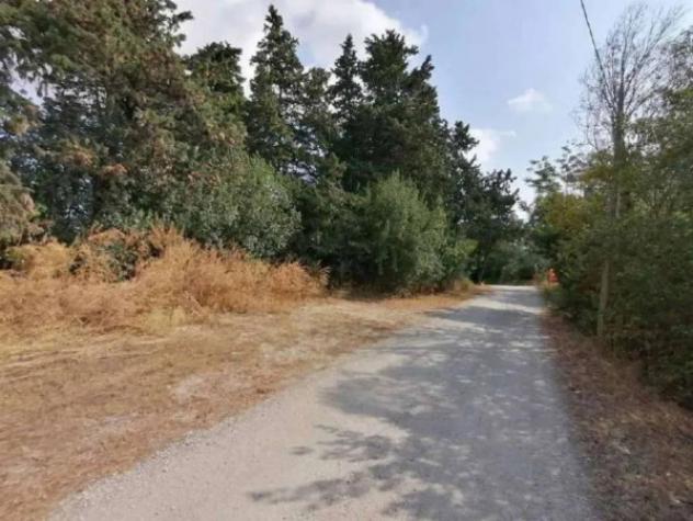 Immobile in asta di 110 m² in vendita a Fermo - Foto 3