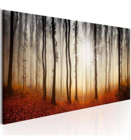 Quadro Nella Foresta Nera ARREDALACASA