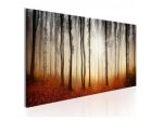Quadro Nella Foresta Nera ARREDALACASA