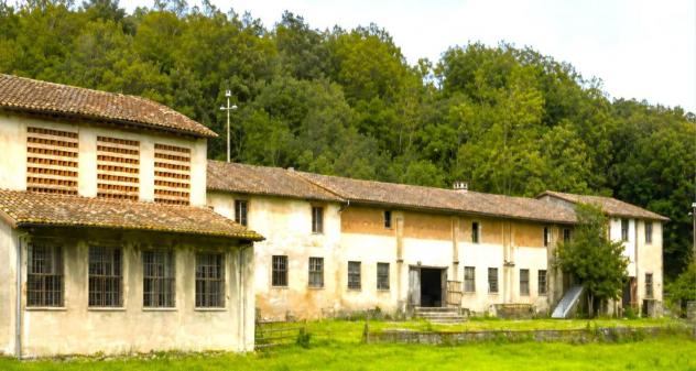 Azienda agricola in vendita a Montopoli in Val d'Arno 2000 mq Rif: 1449630 - Foto 3