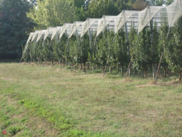 Terreno agricolo in Vendita in Via Carpi Ravarino 619 a Soliera - Foto 6