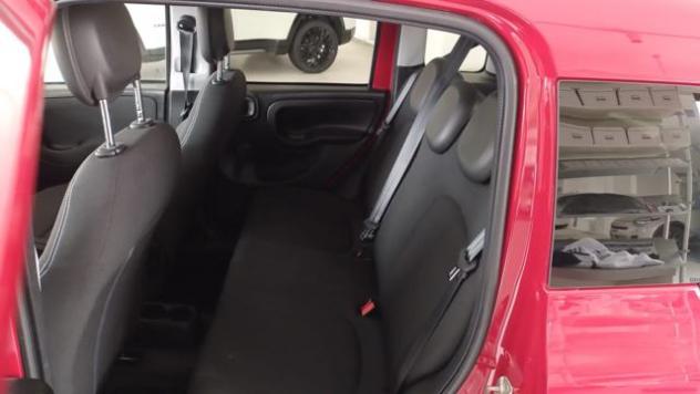 FIAT Panda Cross 1.0 FireFly S&S Hybrid - Foto 10