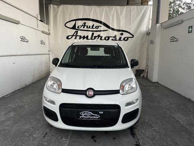 FIAT Panda Panda 1.0 hybrid Easy s&s 70cv - Foto 2
