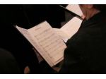 Musica per cerimonie con organista e soprano a Roma