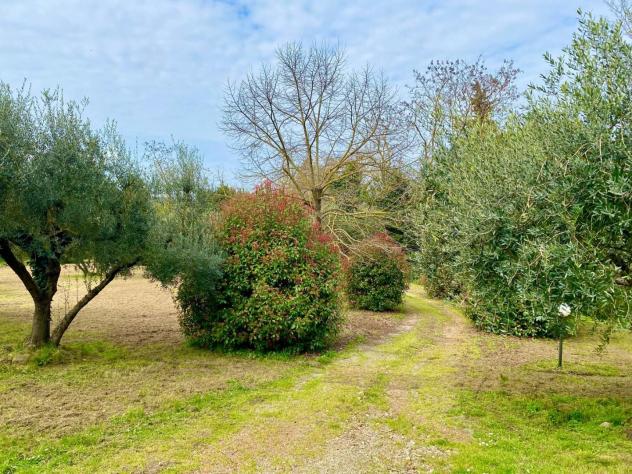 Villa in vendita a Lorenzana - Crespina Lorenzana 192 mq Rif: 1398546 - Foto 4