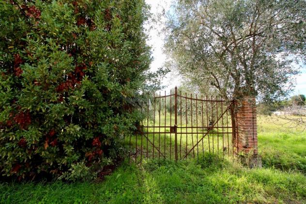 CASALE di 16 vani e di 320 mq (CAMAIORE - Tra Capezzano Pianore e Lido di Camaiore) rif. 423/V - Foto 6