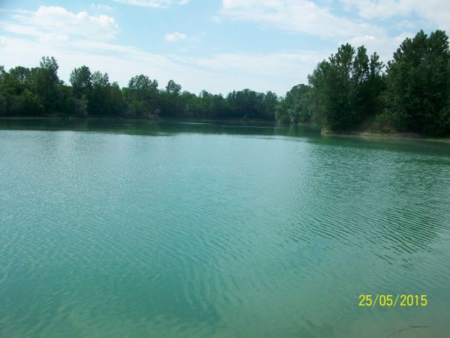 Lago di pesca sportiva avviato MN