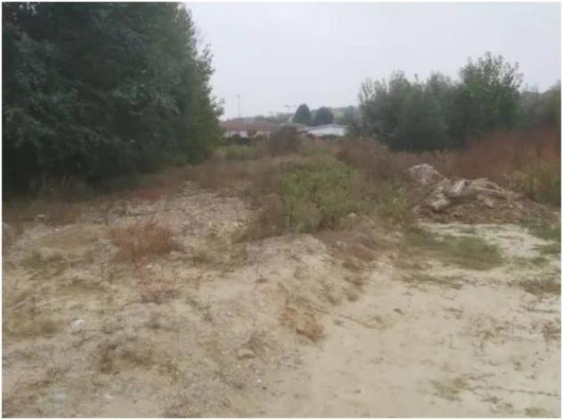 Immobile in asta di 5348 m² in vendita a Villafranca d'Asti - Foto 4
