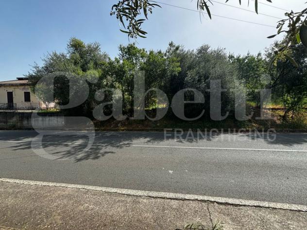 Terreno Residenziale - Nuxis . Rif.: Cod. rif 3144415VRG - Foto 5