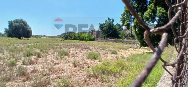 Terreno in vendita a Calatabiano - Foto 9