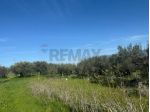 Terreno in vendita a Partinico