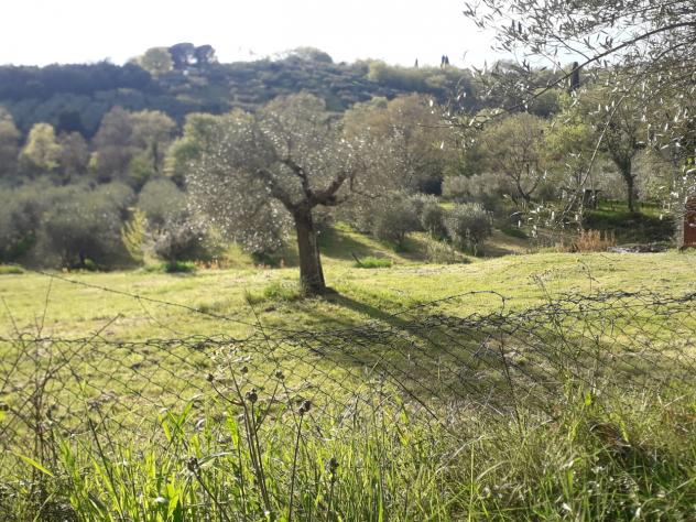 Industriale in vendita a Passignano sul Trasimeno - Foto 7