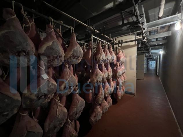 Artigianali in vendita a Savignano sul Panaro - Foto 11