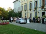 Autista per Matrimoni