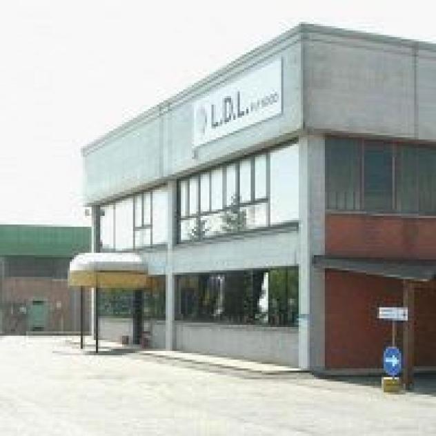 L.D.L. PLYWOOD