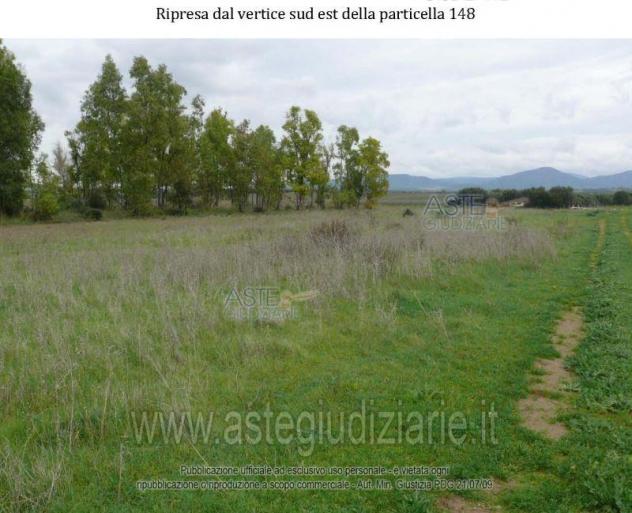 IMMOBILI-ALTRA CATEGORIA-SERDIANA - Foto 2