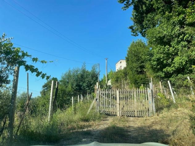 1946/TEANO Rustico/casale di mq 110 su due livelli a San Marco di Teano con 5.000 mq di terreno circostante. - Foto 7