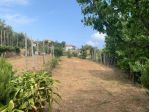 Terreno edificabile in vendita a Vado Ligure