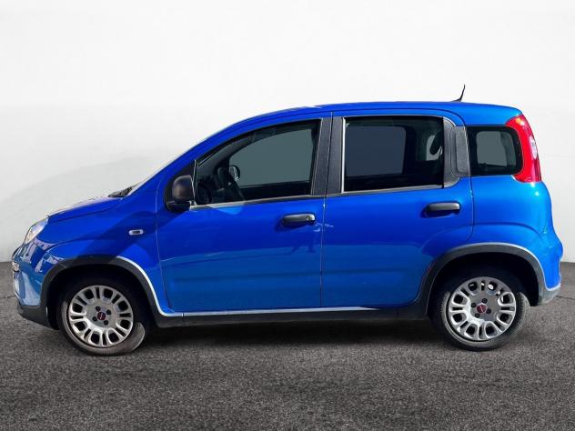 FIAT Panda 1.0 FireFly 70cv S&S Hybrid - Foto 4