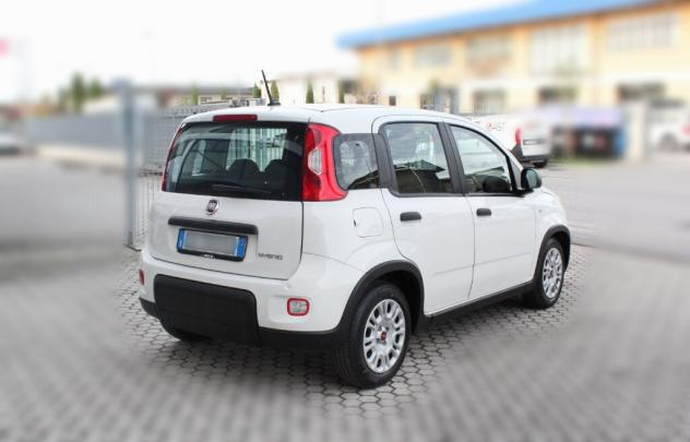 FIAT Panda 3ª serie Panda 1.0 FireFly S&S Hybrid - Foto 6
