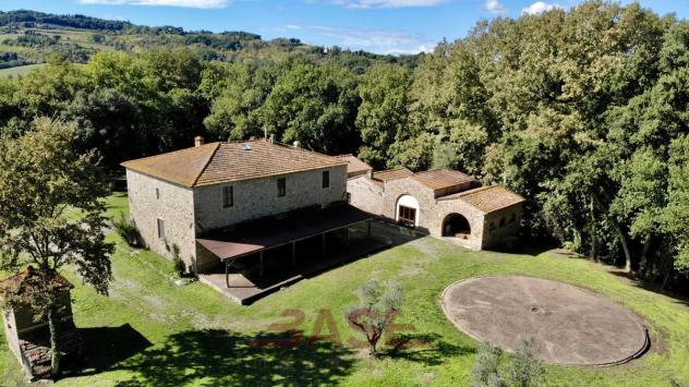 Azienda Agricola in vendita a Guardistallo - Foto 6