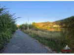 Ad.ze Gallico Superiore - Terreno agricolo