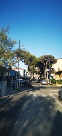 Rosignano Solvay a 250 metri dal mare bilocale con garage - Foto 2