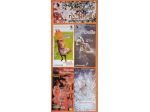 5 flyer Adrenaline - Les Folies de Pigalle