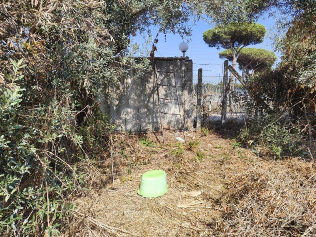 Agricolo in Via dei Melograni - Foto 3