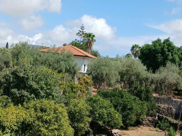 Agricolo in vendita a Misterbianco - Foto 7