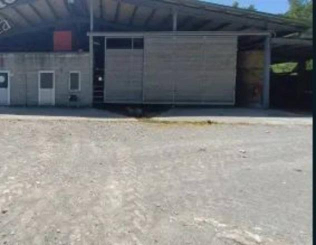 Immobile in asta di 1005 m² in vendita a Palanzano - Foto 8