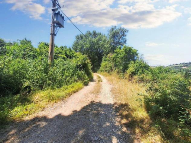Immobile in asta di 221655 m² in vendita a Monte Castello di Vibio - Foto 4