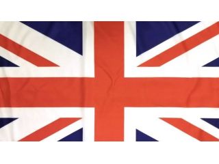 Tutor di inglese da remoto 15€/h